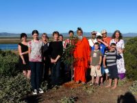 peace-tree-port-augusta-3