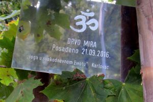 UN Peace Day Karlovac-2
