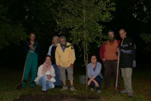 UN Peace Day Szeged-Tree-1