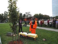 bratislava-peace-tree-2010-07