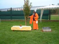 bratislava-peace-tree-2010-09